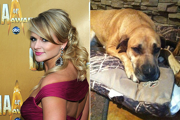 Miranda Lambert Miranda Lambert
