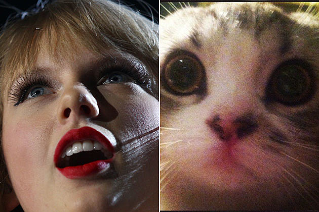 Taylor Swift, Meredith Taylor Swift, Meredith
