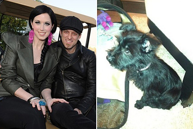 Thompson Square Puppy Thompson Square Puppy