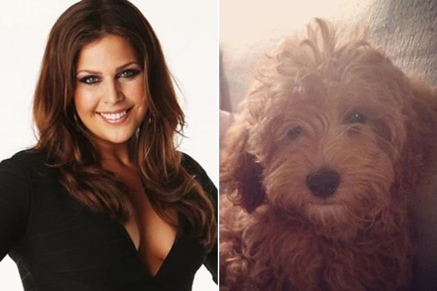 Hillary Scott Puppy Baker Hillary Scott Puppy Baker