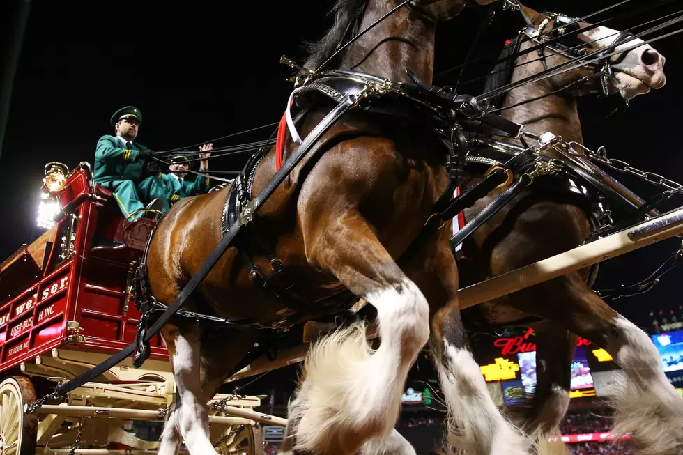The Super Bowl LX Commercial That Will Undoubtedly Be the Fan-Favorite