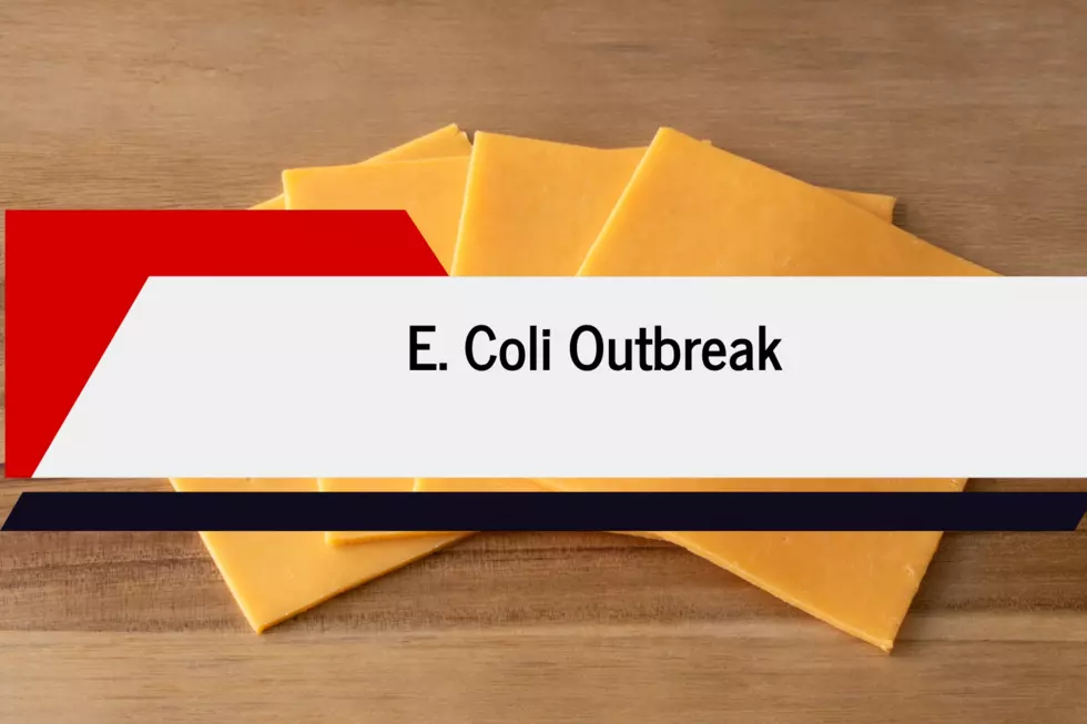 Dangerous E. Coli Breakout From Cheddar Cheese: Brand Hasn’t Pulled Product